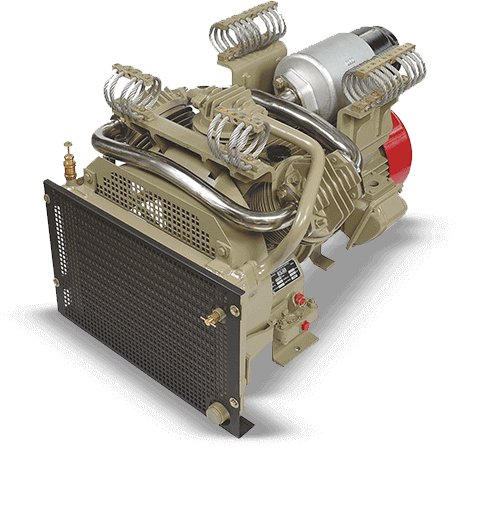 ELGi RR 15070 electric multiple unit compressor