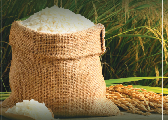 How ELGi’s EG Series Air Compressors Boost India’s Rice Milling Game: From Paddy Fields to Global Plates